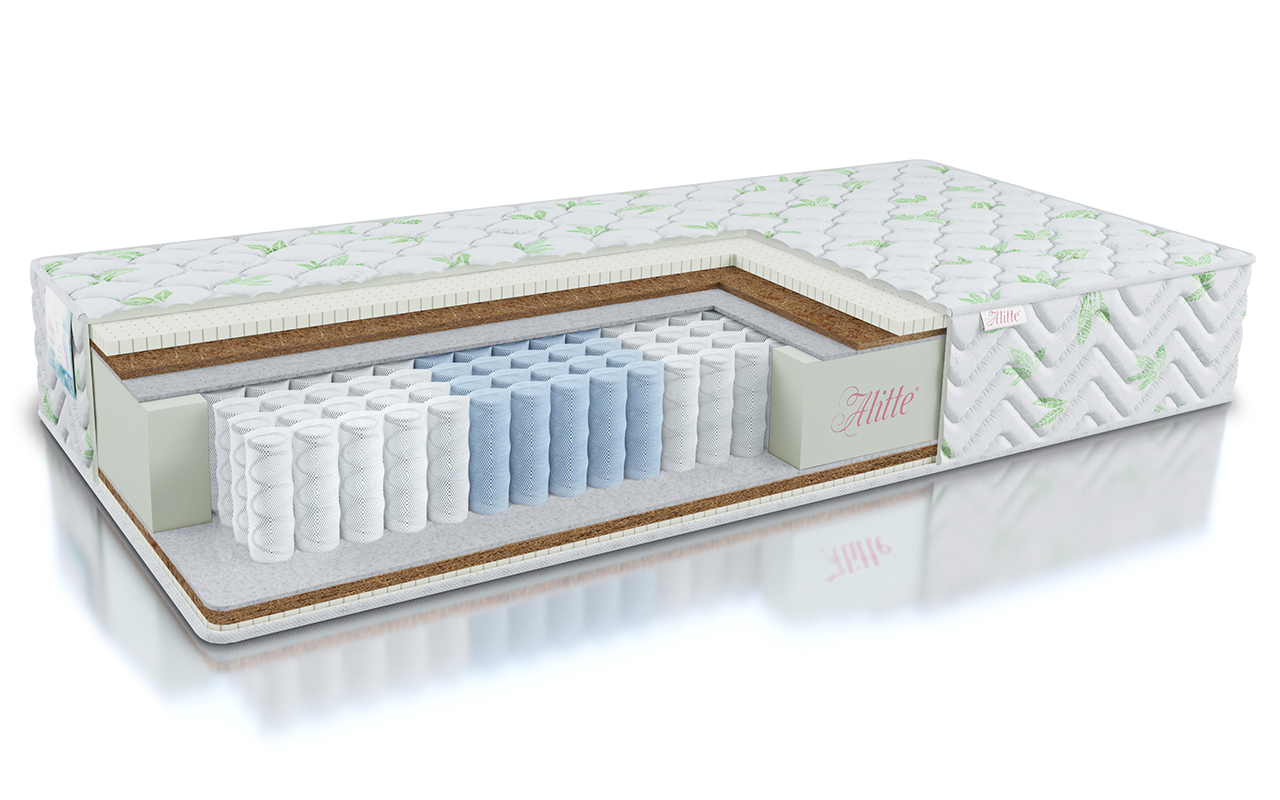 Alitte Naturalis Mutt TFK MH-24-N